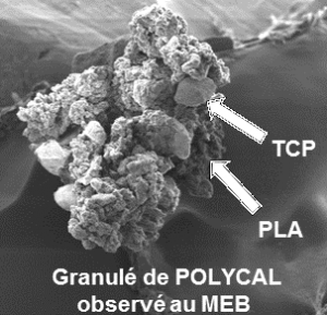 Granulé de Polycal